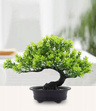 Bonsai Sztuczne Drzewko iglaste sosna