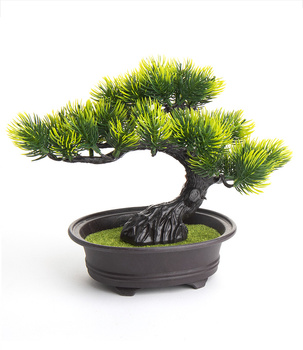Bonsai Sztuczne Drzewko iglaste sosna