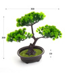 Bonsai Sztuczne Drzewko iglaste 