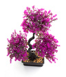 Bonsai Sztuczne Drzewko fuksjowe listki