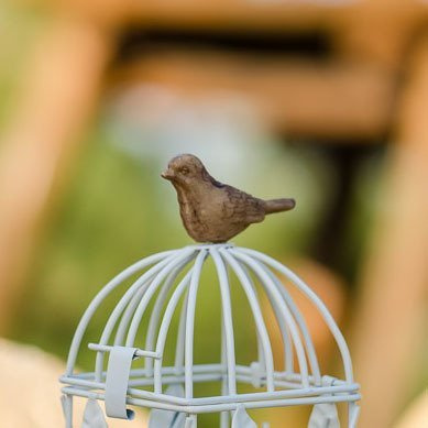 Latarnia lampion - KLATKA