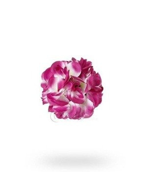 Kwiatowa kula 15cm - purpurowa