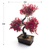 Bonsai Sztuczne Drzewko czerwone listki
