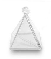 transparentny