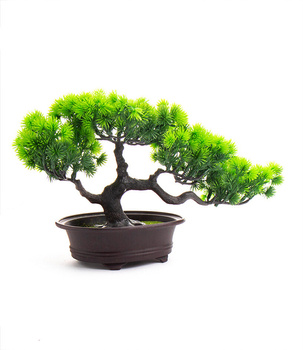Bonsai Sztuczne Drzewko iglaste 