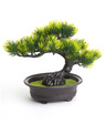 Bonsai Sztuczne Drzewko iglaste sosna