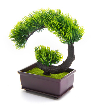 Bonsai Sztuczne Drzewko iglaste 