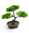 Bonsai Sztuczne Drzewko iglaste 