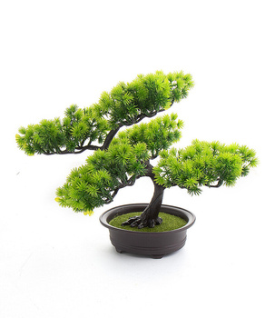 Bonsai Sztuczne Drzewko iglaste 