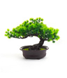 Bonsai Sztuczne Drzewko iglaste