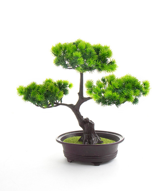 Bonsai Sztuczne Drzewko iglaste