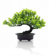 Bonsai Sztuczne Drzewko iglaste sosna