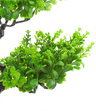 Bonsai Sztuczne Drzewko zielone listki