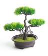 Bonsai Sztuczne Drzewko iglaste sosna