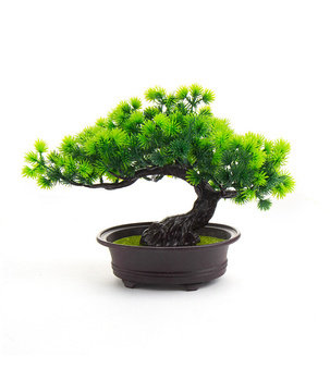 Bonsai Sztuczne Drzewko iglaste 