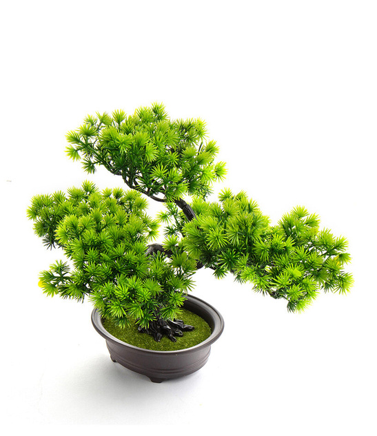Bonsai Sztuczne Drzewko iglaste