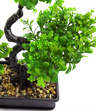 Bonsai Sztuczne Drzewko zielone listki