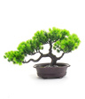 Bonsai Sztuczne Drzewko iglaste